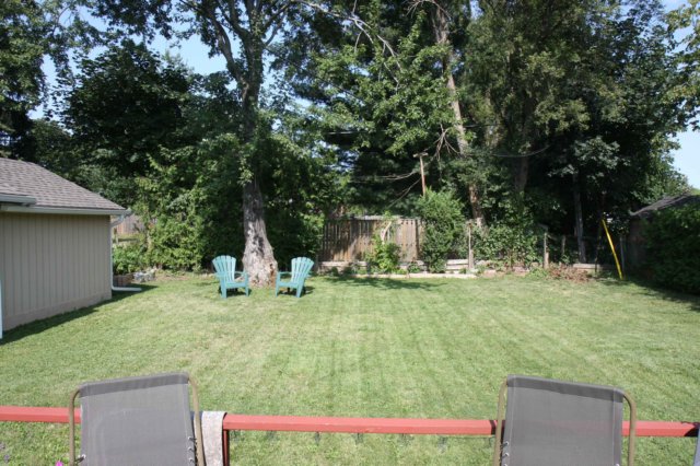 common_back_yard_1.jpg